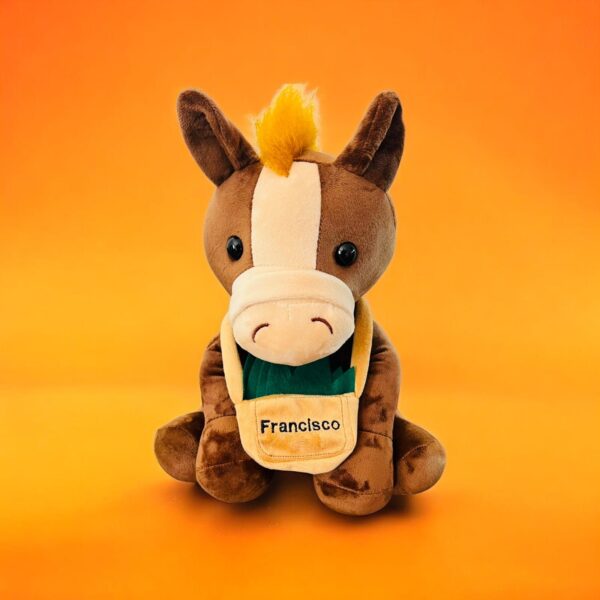 Pônei Francisco